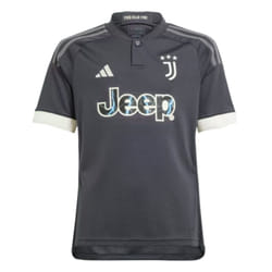 Maillot Third Juventus 23/24 Enfants en Gris