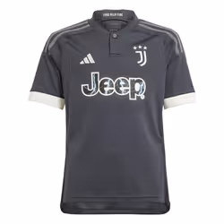 Maillot Third Juventus 23/24 Enfants en Gris