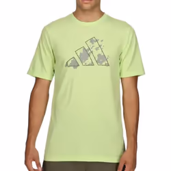 T-shirt de training graphique Train Essentials Seasonal en Vert