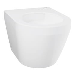 GROHE 102486SH00 toilette