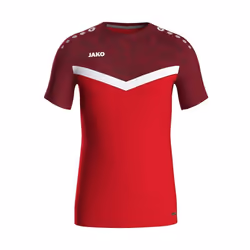 Maillot Jako Iconic