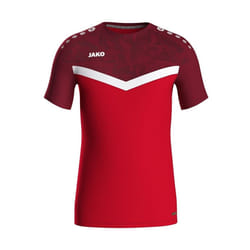 Maillot Jako Iconic