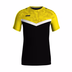 Maillot Jako Iconic