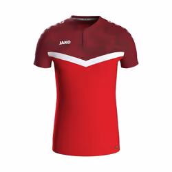 Maillot Jako Iconic