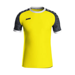 Maillot Jako Iconic