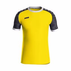 Maillot Jako Iconic