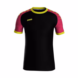 Maillot Jako Iconic