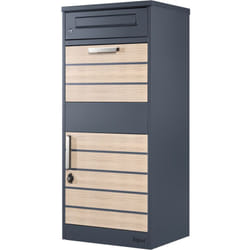 Zelsius - Boîte aux lettres avec compartiment pour paquet Terra en acier revêtu par poudrage RAL7016 et aspect bois, protection anti-vol