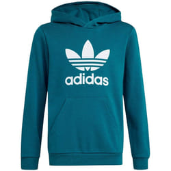 Sweat-shirt à capuche Trèfle Enfants en Turquoise