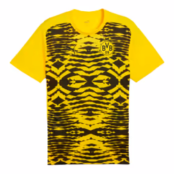puma borussia d 5 prematch multicouleur