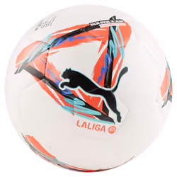 Puma Ballon de Football ORBITA LALIGA 1 084287 01 Blanc