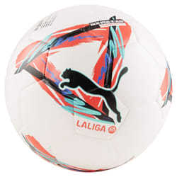 Puma Ballon de Football ORBITA LALIGA 1 084287 01 Blanc