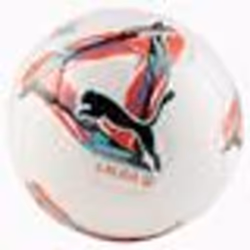 puma laliga 5 mini bl blanc - TU