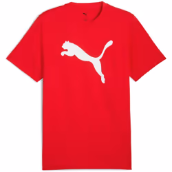 PUMA - T-shirt Homme 682536