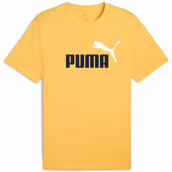 PUMA - T-shirt Homme 684708