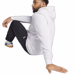 Sweatshirt à capuche Puma Ess No. 1 Logo