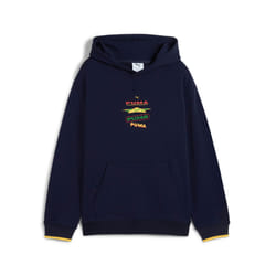 Sweatshirt à capuche enfant Puma Road To Unity Graphic