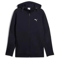 Veste à capuche Puma Evostripe Dk