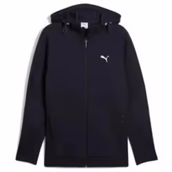 Veste à capuche Puma Evostripe Dk