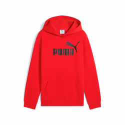 Sweatshirt à capuche enfant Puma No. 1
