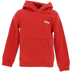 Sweatshirt à capuche enfant Puma Small No. 1