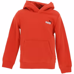Sweatshirt à capuche enfant Puma Small No. 1