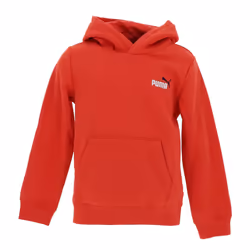 Sweatshirt à capuche enfant Puma Small No. 1