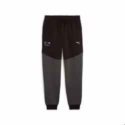 Jogging Puma BMW MMS Tech