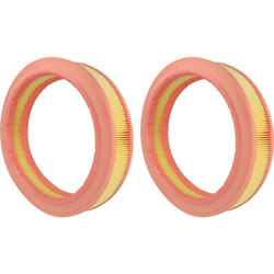 Vhbw - 2x Cartouche filtrante compatible avec Kränzle Ventos 20 e/l, 30 e/l aspirateur sans fil - Filtre pour particules fines
