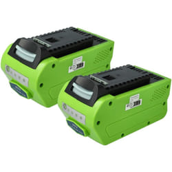 Extensilo - 2x Batterie compatible avec Greenworks G40PH51K4, G40LT, G40PH51K2, G40PH51, G40LTK4, G40LTK2 outil électrique (5000 mAh, Li-ion, 40 v)