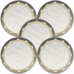 vhbw - the clever way Set de 5x filtre HEPA pour votre aspirateur, robot aspirateur ou nettoyeur vapeur - Gardez la puissance ...