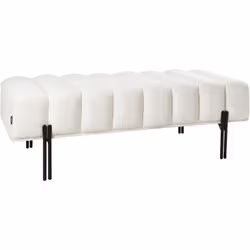 Banc de rangement pour couloir. Ce banc rectangulaire élégant, conçu pour le confort et l'attrait de la modernité, rehausse v ...