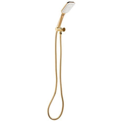 Kit de pommeau de douche avec tuyau flexible AMAJA Doré