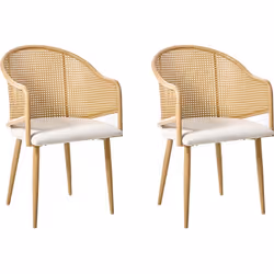 Chaises de salle à manger rétro. Ces chaises de salle à manger de style rétro apportent une touche d'élégance intemporelle à  ...