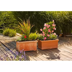Gardena 13006-20 Pot élégant Terre cuite Rectangle