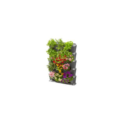 Gardena - Kit mur végétal NatureUp avec arrosage intégré (13151-20).