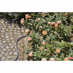 Gardena Liano tuyau d'arrosage 20 m Au-dessus du sol Noir