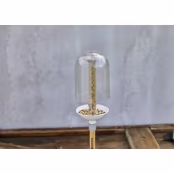 Gardena ClickUp! mangeoire pour oiseau Transparent, Blanc Acrylique