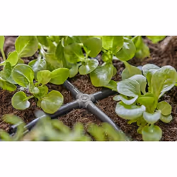 Gardena 13214-20 raccord des tuyaux d'eau Connecteur de tuyau Plastique Noir 10 pièce(s) - Vue supplémentaire 4