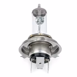 HELLA 8GJ 002 525-131 Ampoule, projecteur principal H4 12 60/55 Halogène P43t-38 PEUGEOT: 107 3/5 portes, Partner I Van, 106 II 3/5 portes