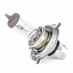 HELLA 8GJ 002 525-131 Ampoule, projecteur principal H4 12 60/55 Halogène P43t-38 PEUGEOT: 107 3/5 portes, Partner I Van, 106 II 3/5 portes - Vue supplémentaire 5
