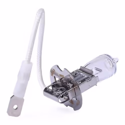 HELLA 8GH 002 090-133 Ampoule, projecteur de travail VOLKSWAGEN: GOLF 3, Golf 5, Passat B5 GP Break, MERCEDES-BENZ: W124 Coupé, 190, RENAULT: Scénic 1 - Vue supplémentaire 3