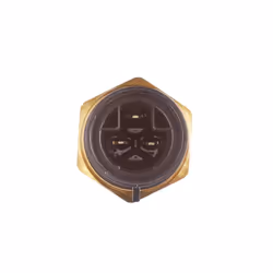 HELLA 6ZT 007 837-031 Interrupteur de température, ventilateur de radiateur M 22 x 1,5 12 FIAT: Ducato II Camion plate-forme/Châssis, Ducato II Bus