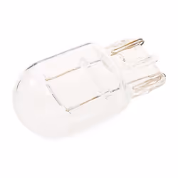 HELLA 8GA 008 892-002 Ampoule, feu clignotant 12 21 W21W VOLKSWAGEN: Golf 7 Variant, Golf 7, SUZUKI: Grand Vitara 2 SUV, HONDA: S2000