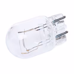 HELLA 8GD 008 893-002 Ampoule, feu stop/feu arrière W21/5W 12 21/5 TOYOTA: Yaris III 3/5 portes, Land Cruiser Prado 120, RAV4 II SUV