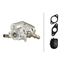 Vanne EGR HELLA 6NU 010 171-271