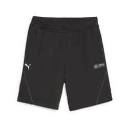 Short Puma MAPF1