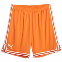Short Puma Hoops team game