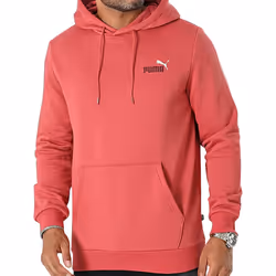 Sweatshirt à capuche Puma Essential + 2 Col Small Logo FL