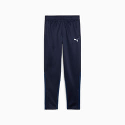 PUMA teamGOAL Mâle Bleu Polyester